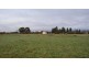 87 Dexter Street, Westbury TAS 7303