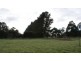 87 Dexter Street, Westbury TAS 7303
