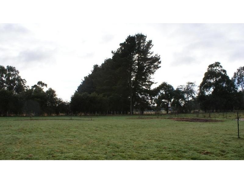 87 Dexter Street, Westbury TAS 7303