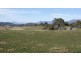 219 South Mole Creek Road, Mole Creek TAS 7304