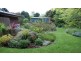 219 South Mole Creek Road, Mole Creek TAS 7304