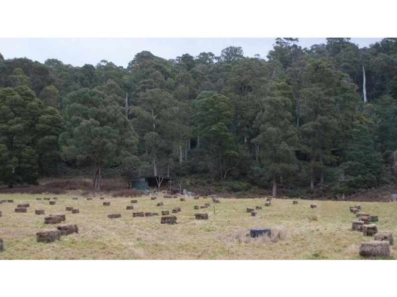 0 Rowlands Road, Liena TAS 7304