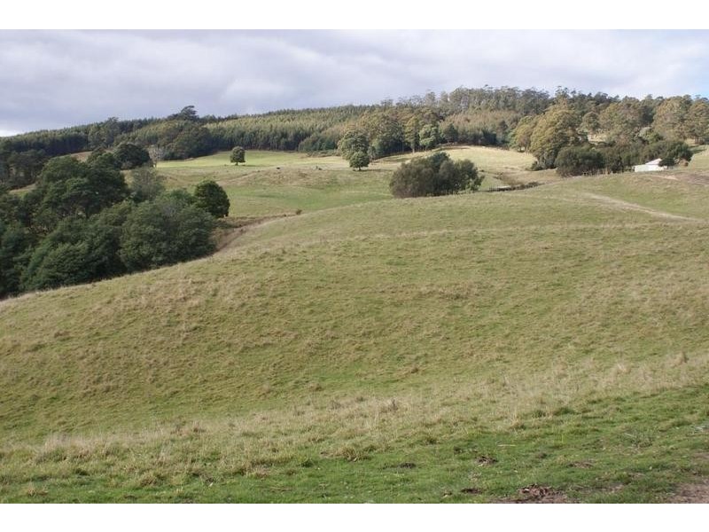 84 Coates Hill Road, Parkham TAS 7304