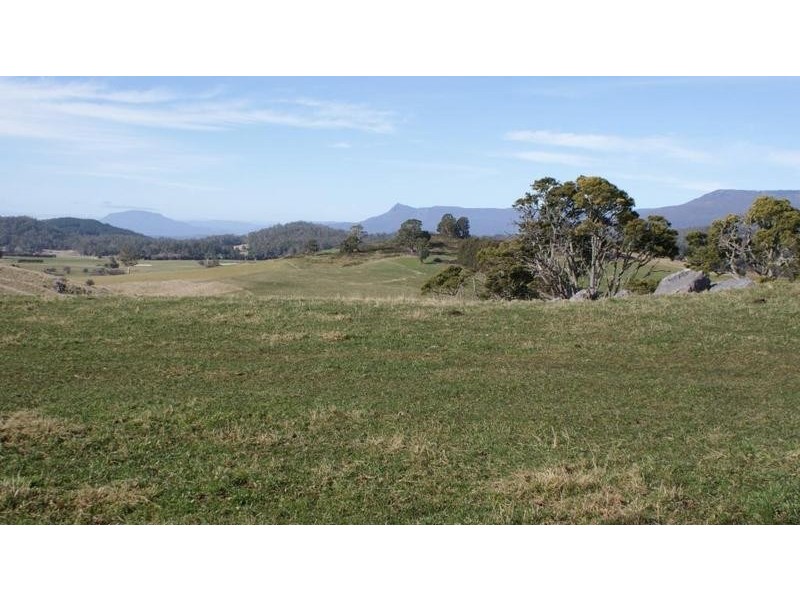 219 South Mole Creek Road, Mole Creek TAS 7304