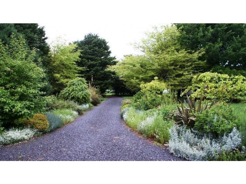 219 South Mole Creek Road, Mole Creek TAS 7304