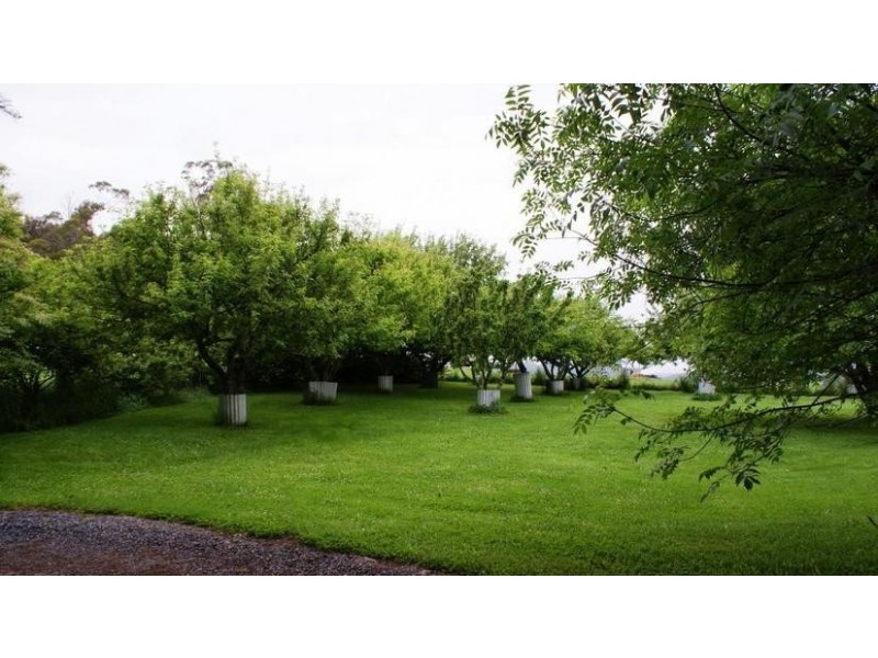 219 South Mole Creek Road, Mole Creek TAS 7304