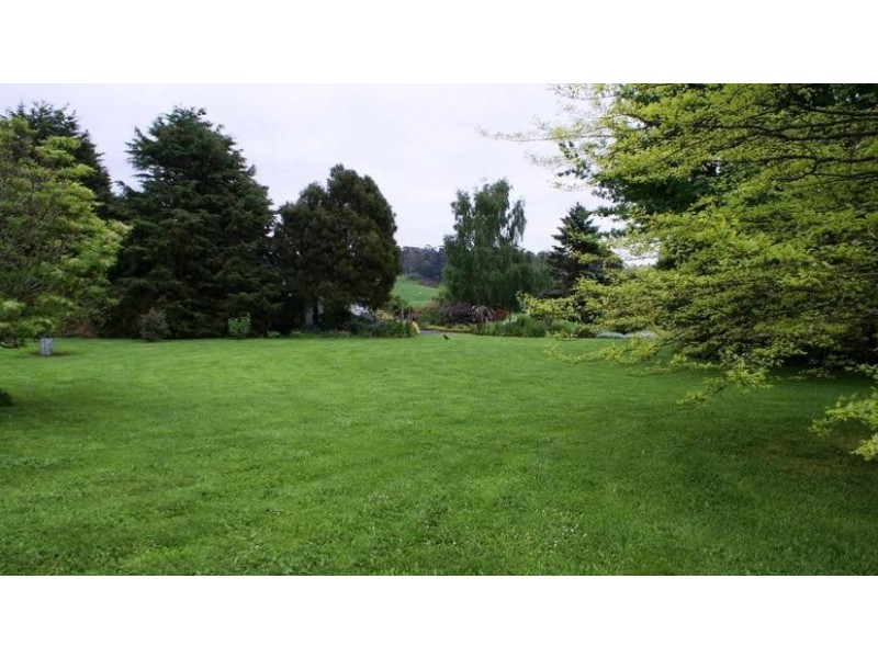 219 South Mole Creek Road, Mole Creek TAS 7304