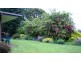 219 South Mole Creek Road, Mole Creek TAS 7304
