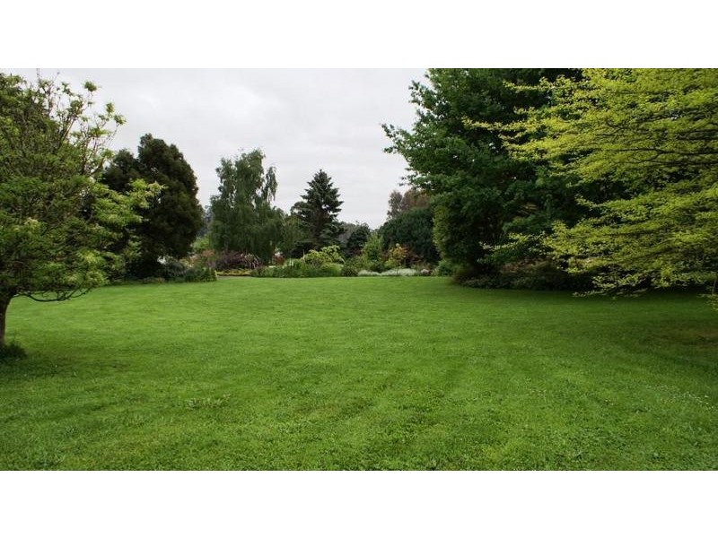 219 South Mole Creek Road, Mole Creek TAS 7304