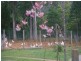 13563 Highland Lakes Road, Golden Valley TAS 7304