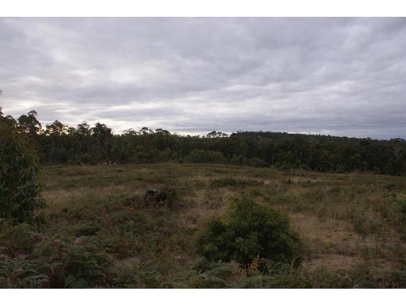 13544 Highland Lakes Road, Golden Valley TAS 7304