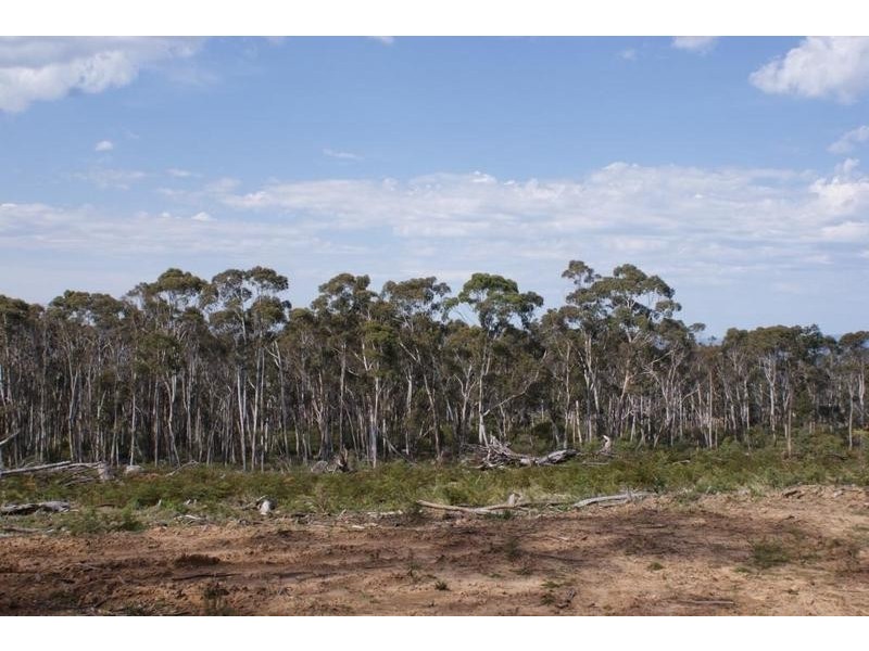 Tanina Address Available on Request, Brighton TAS 7030