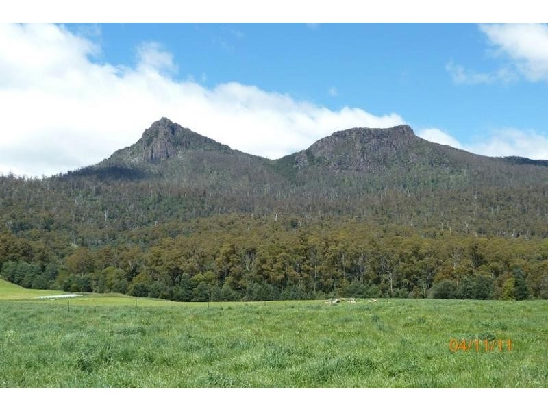 130 Lees Road, Western Creek TAS 7304