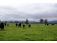 0 Deloraine District, Deloraine TAS 7304