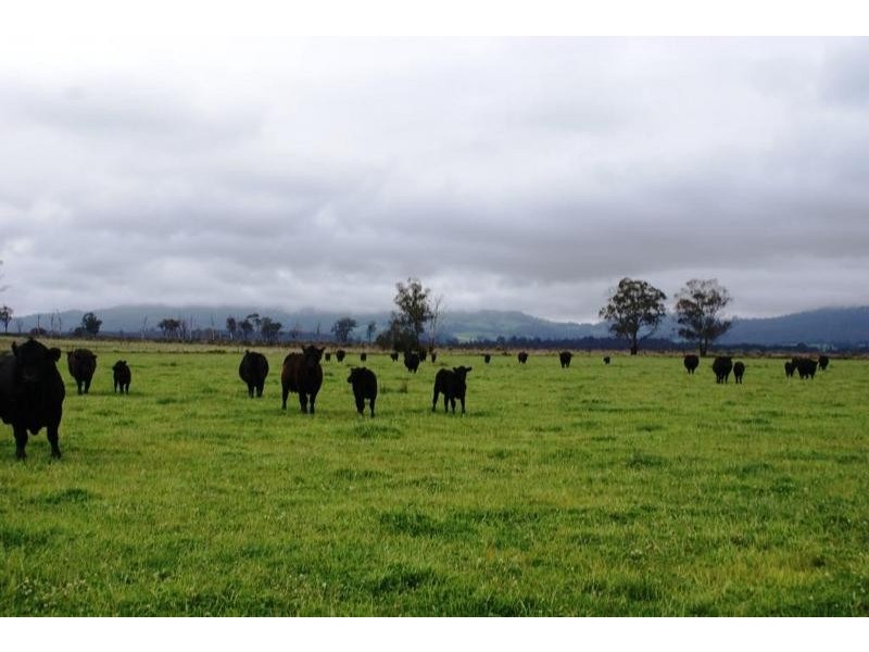 0 Deloraine District, Deloraine TAS 7304