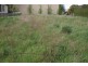 13 West Goderich Street, Deloraine TAS 7304
