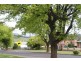 13 West Goderich Street, Deloraine TAS 7304