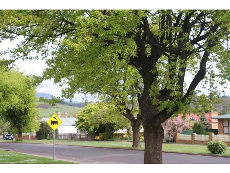 13 West Goderich Street, Deloraine TAS 7304