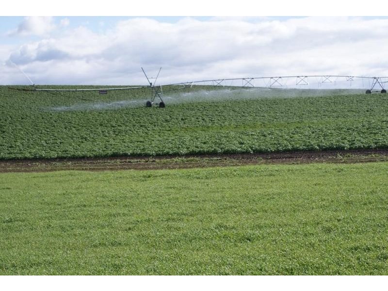 169 Mole Creek Road, Deloraine TAS 7304