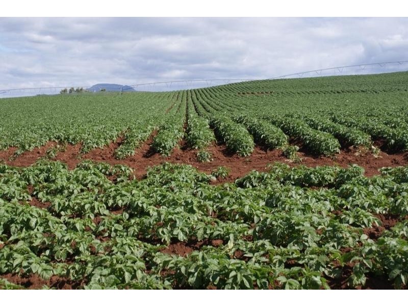 169 Mole Creek Road, Deloraine TAS 7304