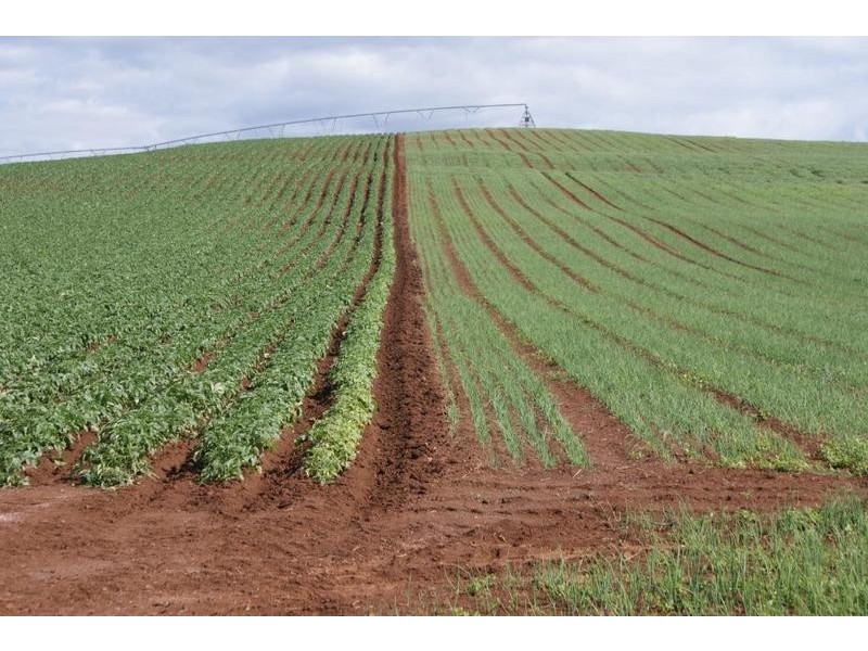 169 Mole Creek Road, Deloraine TAS 7304