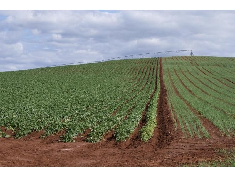 169 Mole Creek Road, Deloraine TAS 7304