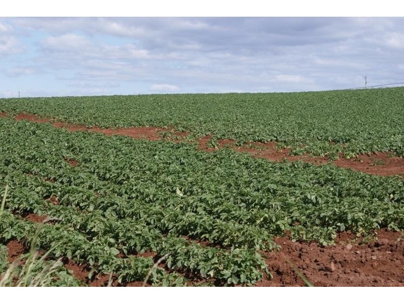 169 Mole Creek Road, Deloraine TAS 7304