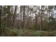 0 Brady’s Plains Road, Parkham TAS 7304