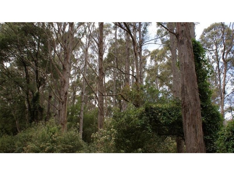 0 Brady’s Plains Road, Parkham TAS 7304