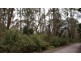 0 Brady’s Plains Road, Parkham TAS 7304