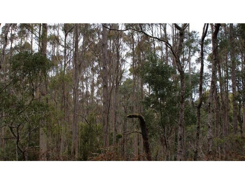 0 Brady’s Plains Road, Parkham TAS 7304