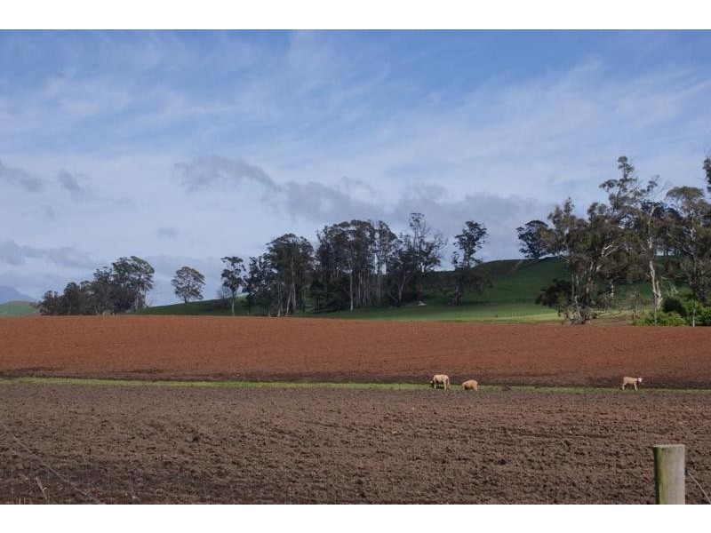5093 Bass Highway, Deloraine TAS 7304