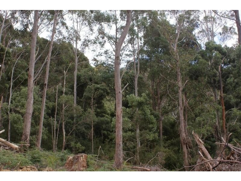 0 Boons Road, Blackwood Creek TAS 7301