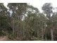 0 Boons Road, Blackwood Creek TAS 7301