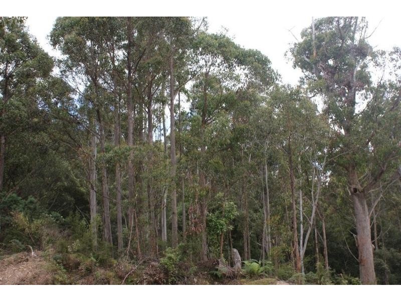 0 Boons Road, Blackwood Creek TAS 7301
