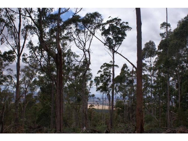 0 Boons Road, Blackwood Creek TAS 7301