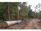 0 Boons Road, Blackwood Creek TAS 7301