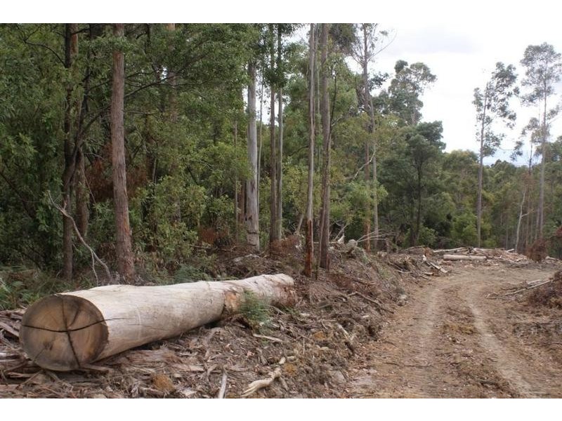 0 Boons Road, Blackwood Creek TAS 7301