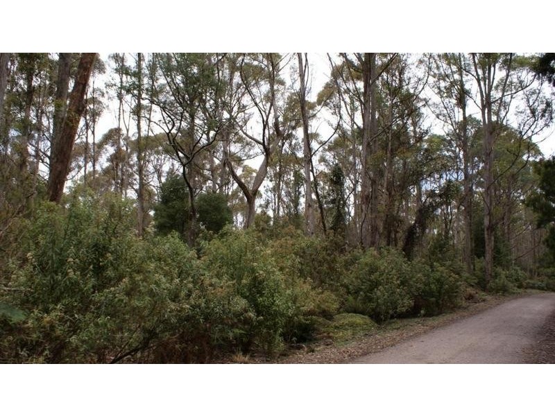0 Brady’s Plains Road, Parkham TAS 7304