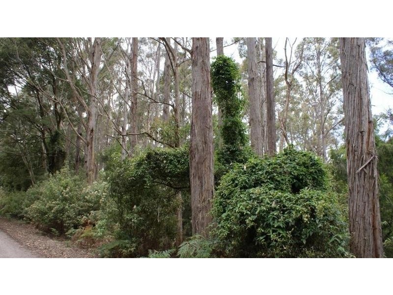 0 Brady’s Plains Road, Parkham TAS 7304