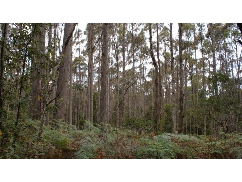 0 Brady’s Plains Road, Parkham TAS 7304