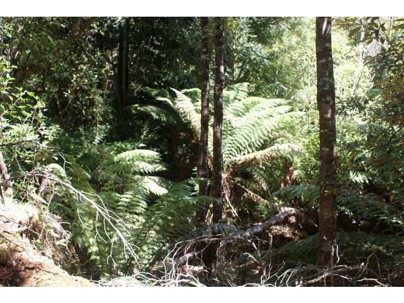 0 Sugarloaf Road, Jackeys Marsh TAS 7304