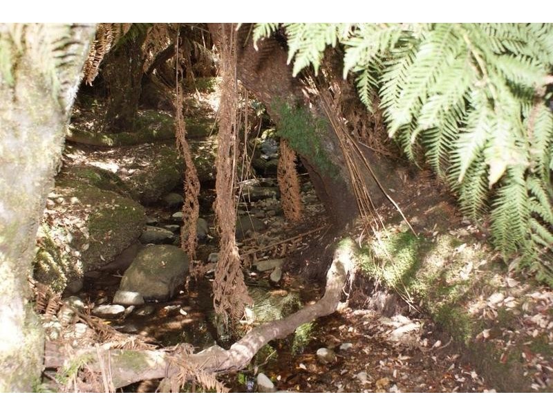 0 Sugarloaf Road, Jackeys Marsh TAS 7304