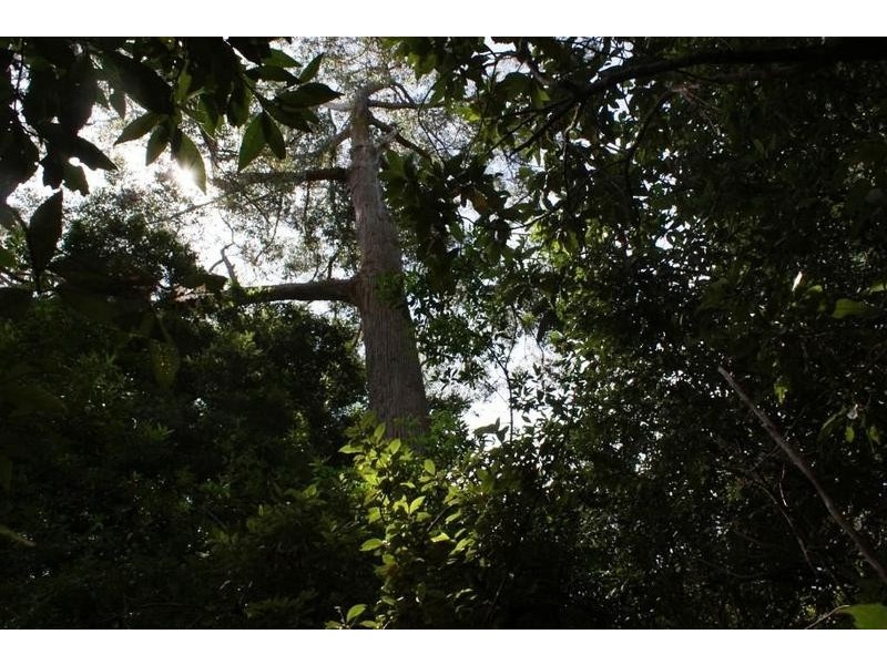 0 Sugarloaf Road, Jackeys Marsh TAS 7304