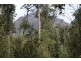 0 Sugarloaf Road, Jackeys Marsh TAS 7304