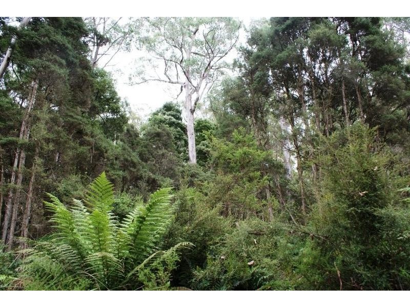 241 Davis Road, Quamby Brook TAS 7304