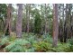 241 Davis Road, Quamby Brook TAS 7304