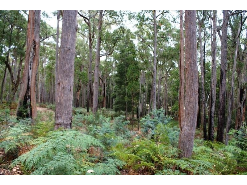 241 Davis Road, Quamby Brook TAS 7304