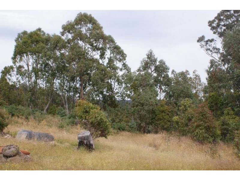 130 Brady’s Lake Road, Bradys Lake TAS 7140