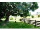 35 Caveside Road, Mole Creek TAS 7304